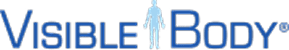 Visible Body